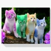 Pintura Diamante - Cuatro colores de gatitos