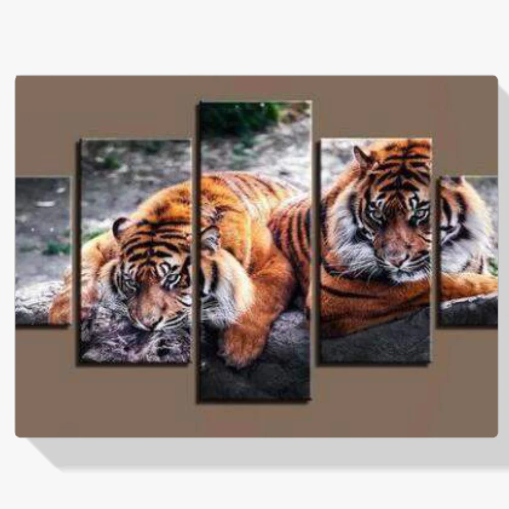 Pintura Diamante - Dos tigres reclinados 5 paneles