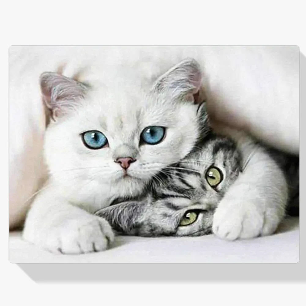 Pintura Diamante - Dulces gatitos