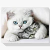 Pintura Diamante - Dulces gatitos