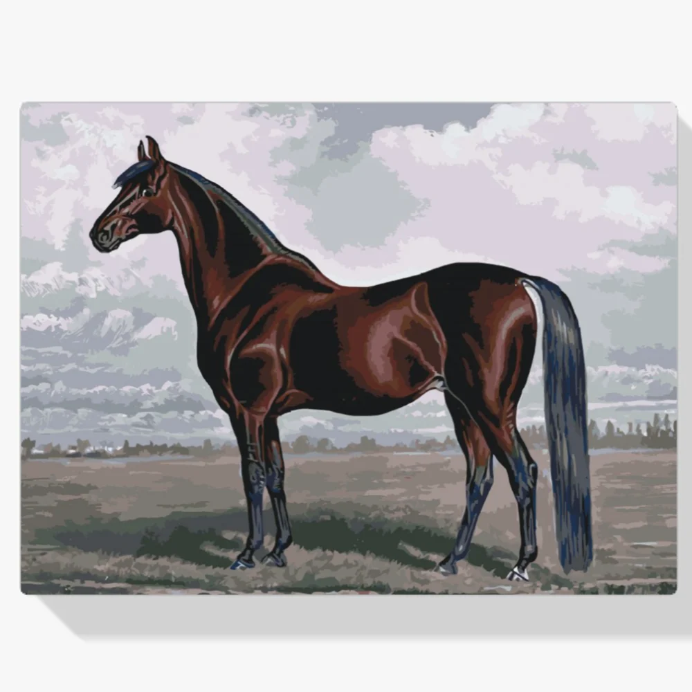 Pintura Diamante - El majestuoso caballo