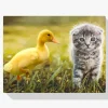 Pintura Diamante - El pato juega con el gato