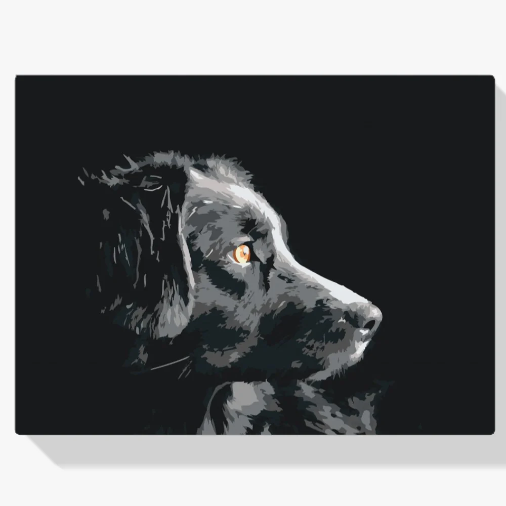 Pintura Diamante - El punto de vista del perro