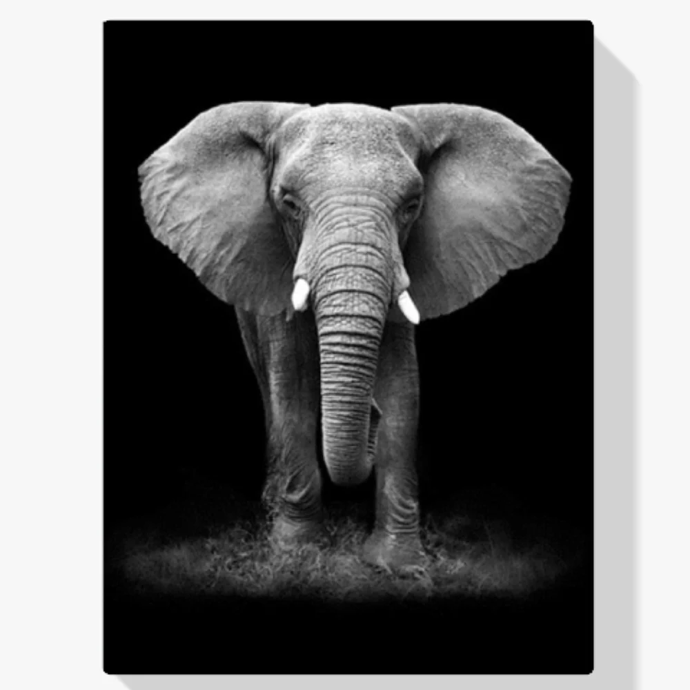 5D Pintura Diamante - Elefante