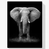 5D Pintura Diamante - Elefante