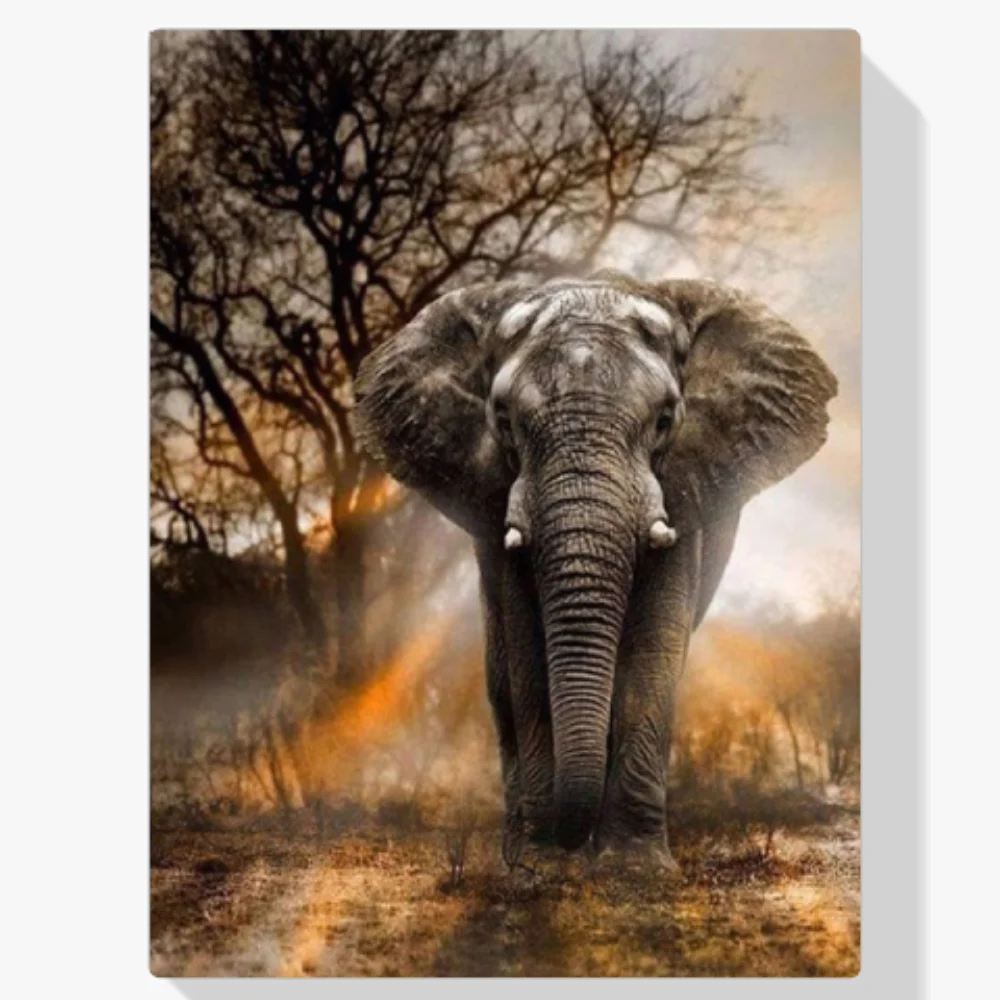 5D Pintura Diamante - Elefante en la jungla