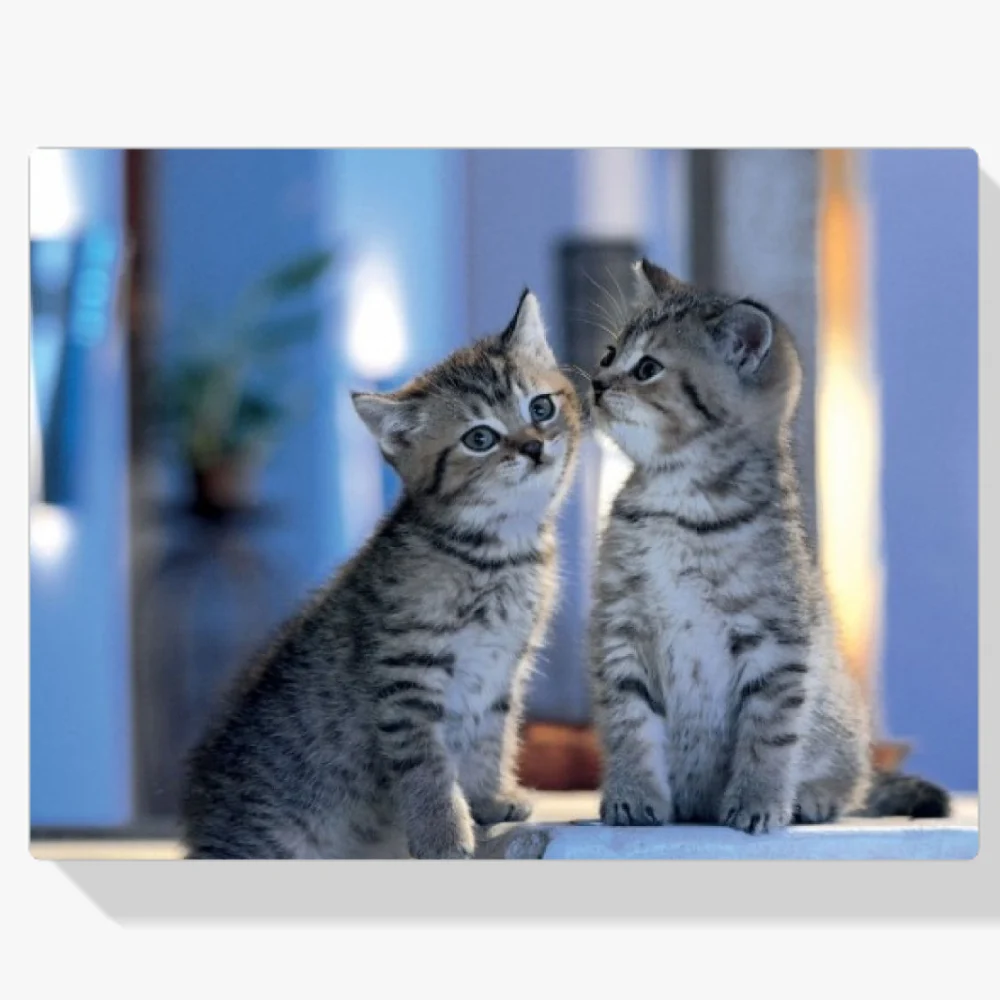 Pintura Diamante - Familia Gatos