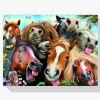 Pintura Diamante - Fiesta del caballo