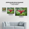 Pintura Diamante - Flamenco