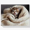 Pintura Diamante - Gatito con manta