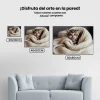 Pintura Diamante - Gatito con manta