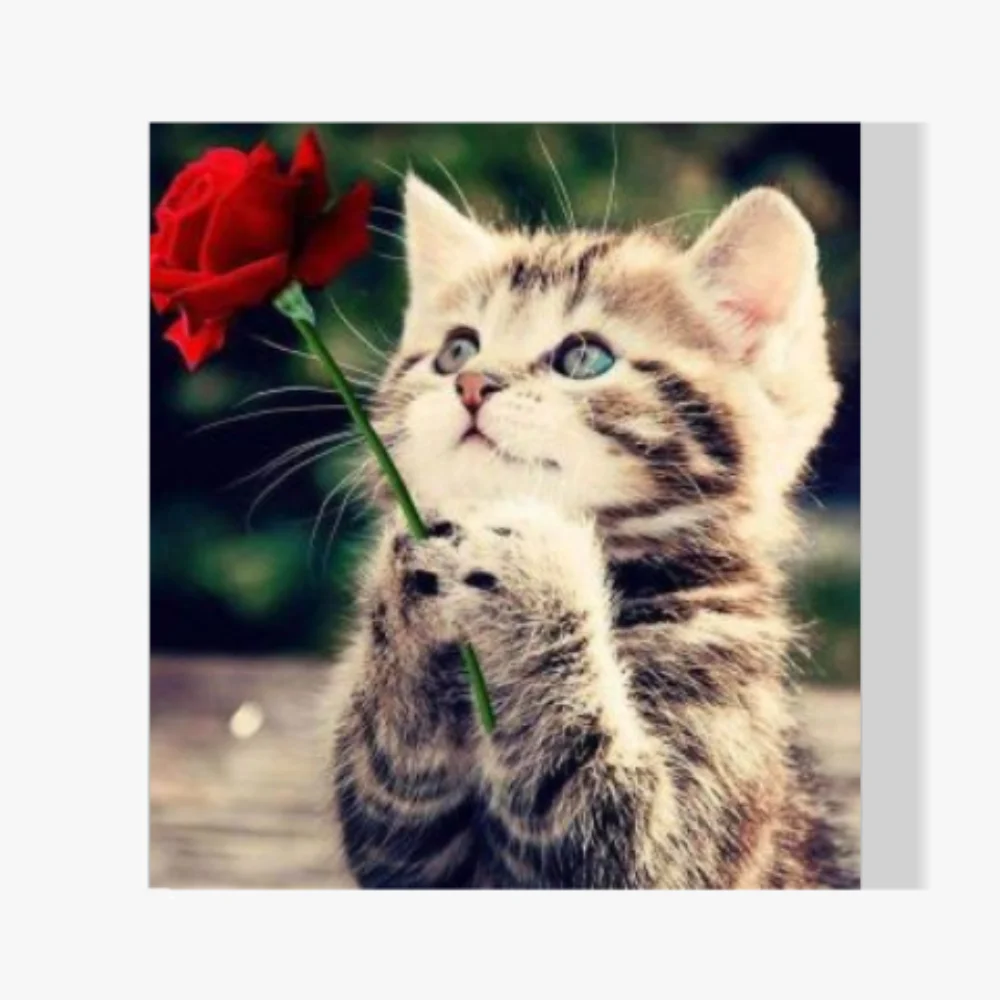 Pintura Diamante - Gatito con rosa