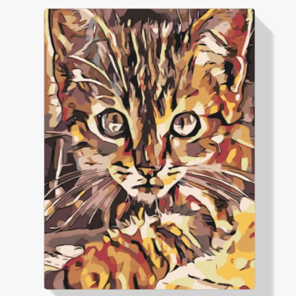 Pintura Diamante - Gatito curioso