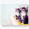 Pintura Diamante - Gatitos con ojos azules