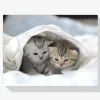 Pintura Diamante - Gatitos en la cama