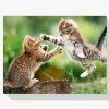 Pintura Diamante - Gatitos jugando