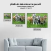 Pintura Diamante - Gatitos
