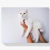 Pintura Diamante - Gato Blanco