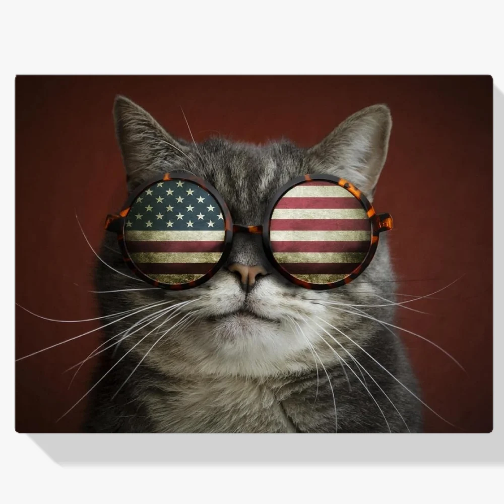 Pintura Diamante - Gato americano