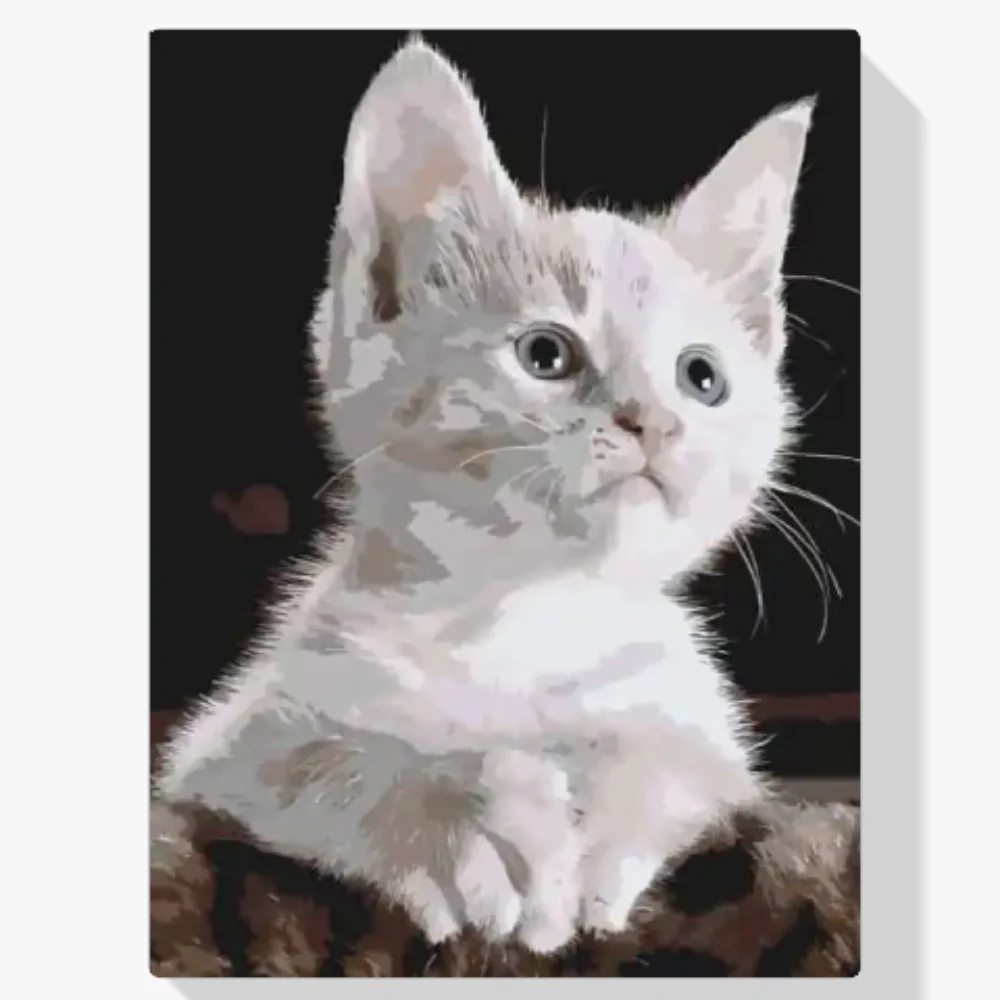 Pintura Diamante - Gato blanco