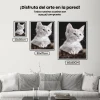 Pintura Diamante - Gato blanco