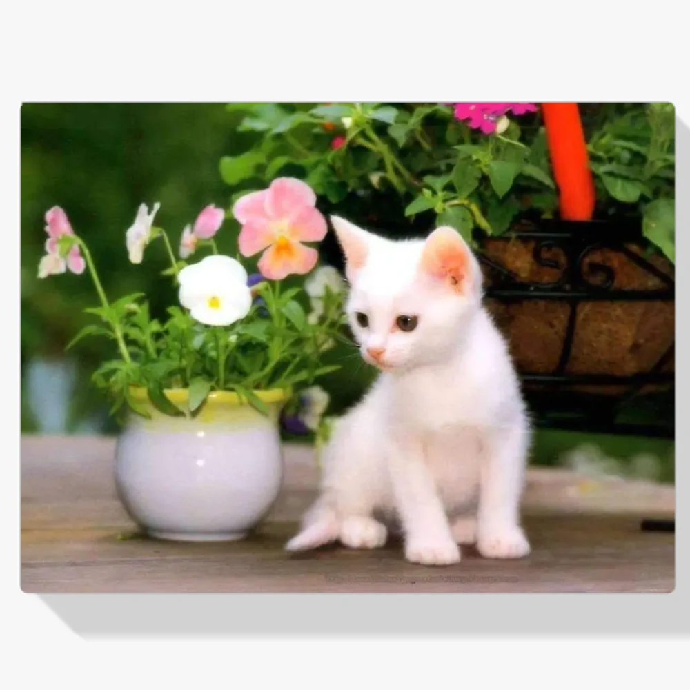 Pintura Diamante - Gato blanco con flores en un florero