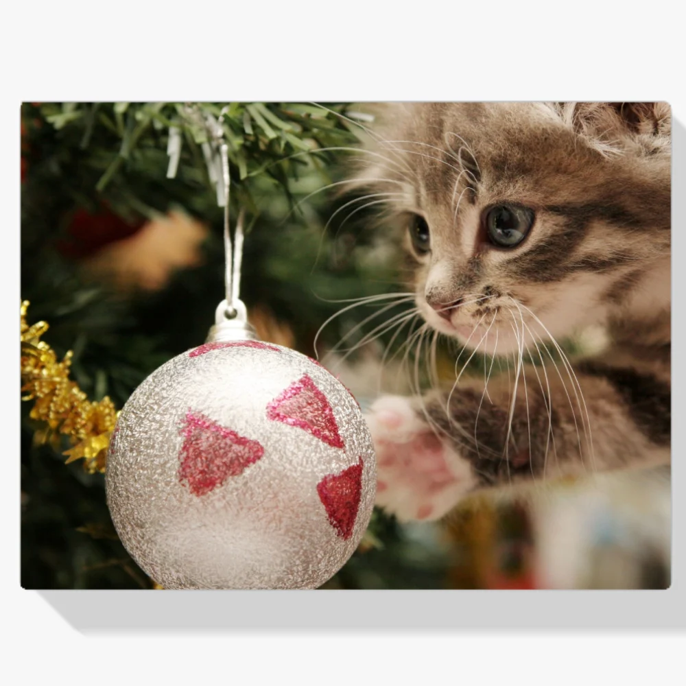 Pintura Diamante - Gato con bola navideña