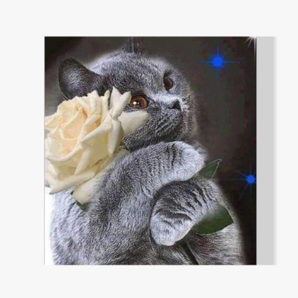 Pintura Diamante - Gato con flor