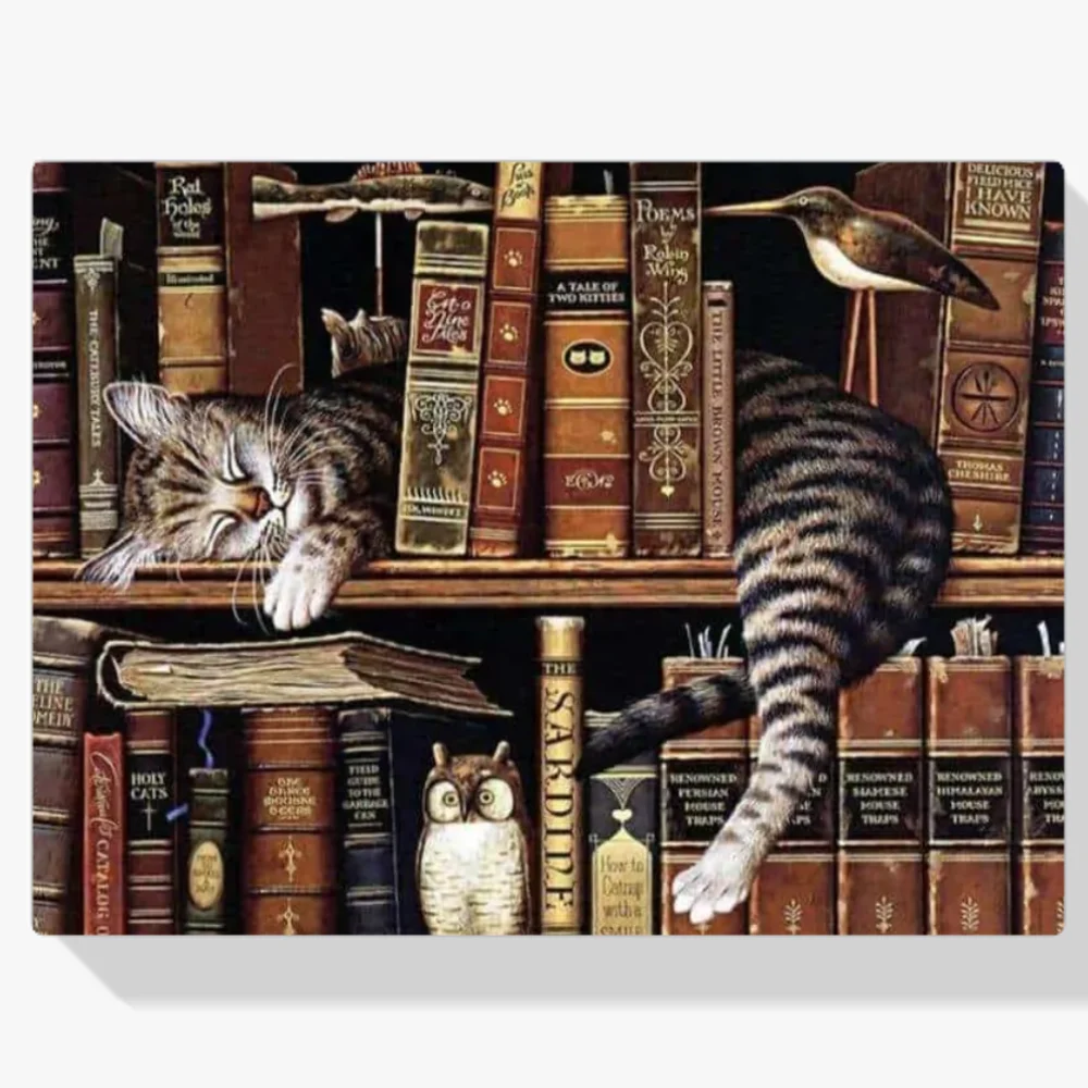 Pintura Diamante - Gato dormido en la biblioteca