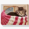 Pintura Diamante - Gato en la cesta