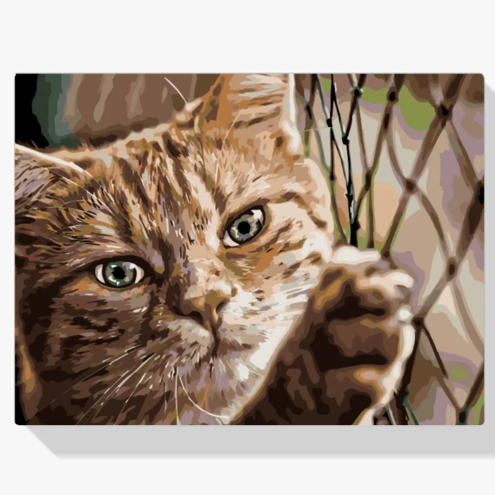 Pintura Diamante - Gato en la valla