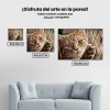 Pintura Diamante - Gato en la valla