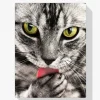 Pintura Diamante - Gato lame mano