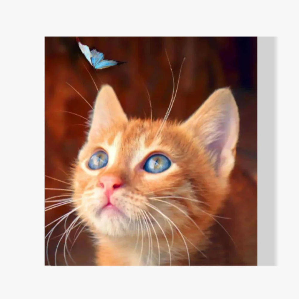 Pintura Diamante - Gato marrón con mariposa azul