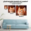 Pintura Diamante - Gato marrón con mariposa azul
