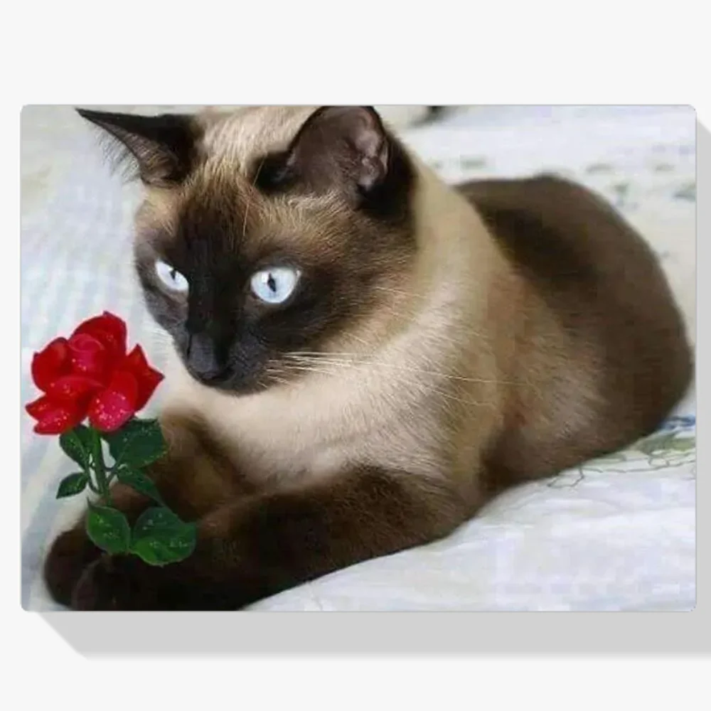 Pintura Diamante - Gato marrón con rosa