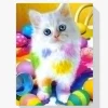Pintura Diamante - Gato moteado