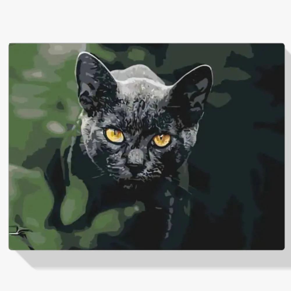 Pintura Diamante - Gato negro