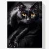 Pintura Diamante - Gato negro y ojos amarillos
