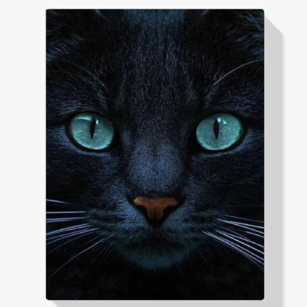 Pintura Diamante - Gato negro y ojos azules