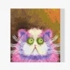 Pintura Diamante - Gato somnoliento
