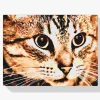 Pintura Diamante - Gato tigre