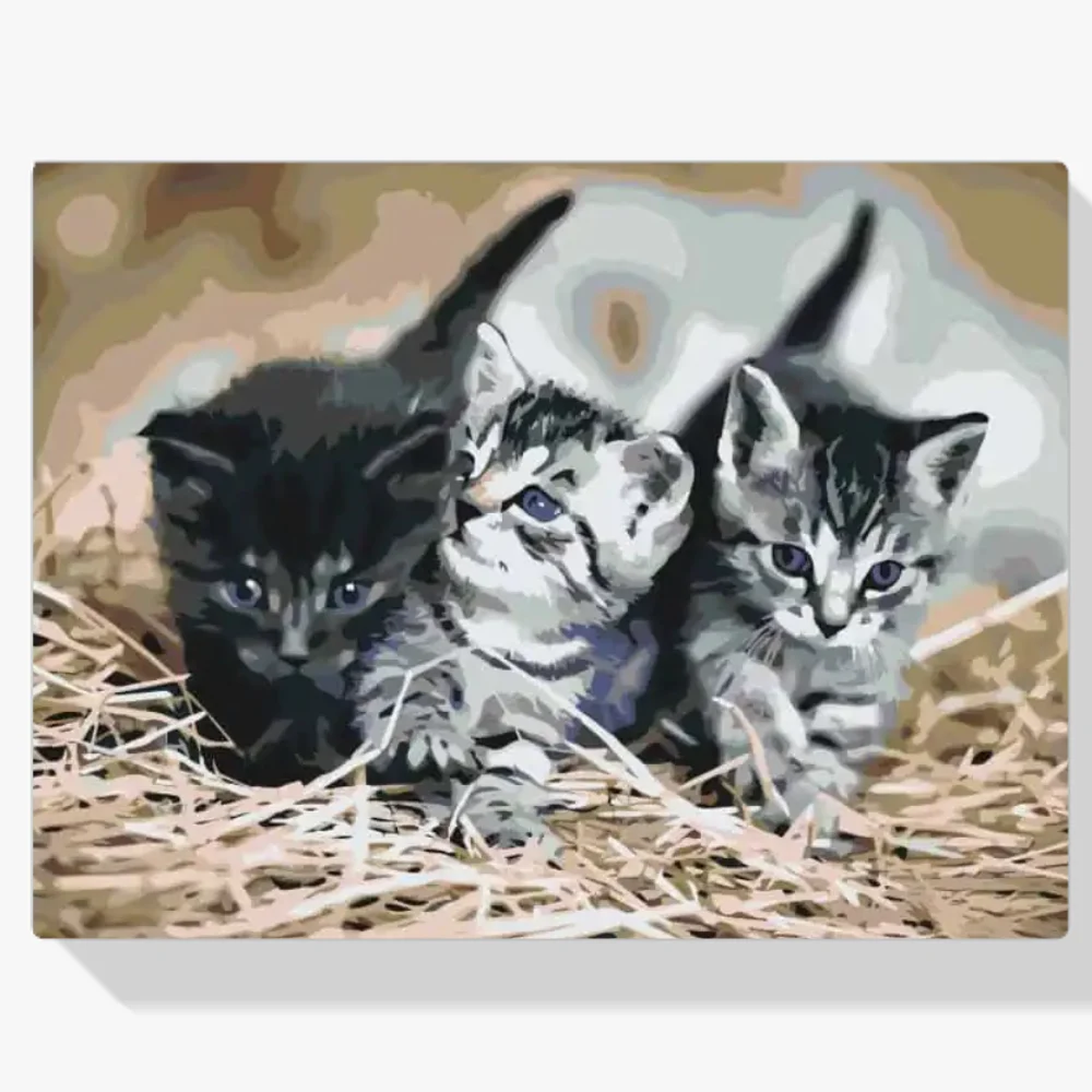 Pintura Diamante - Gatos