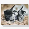 Pintura Diamante - Gatos