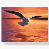 Pintura Diamante - Gaviota sobre el mar