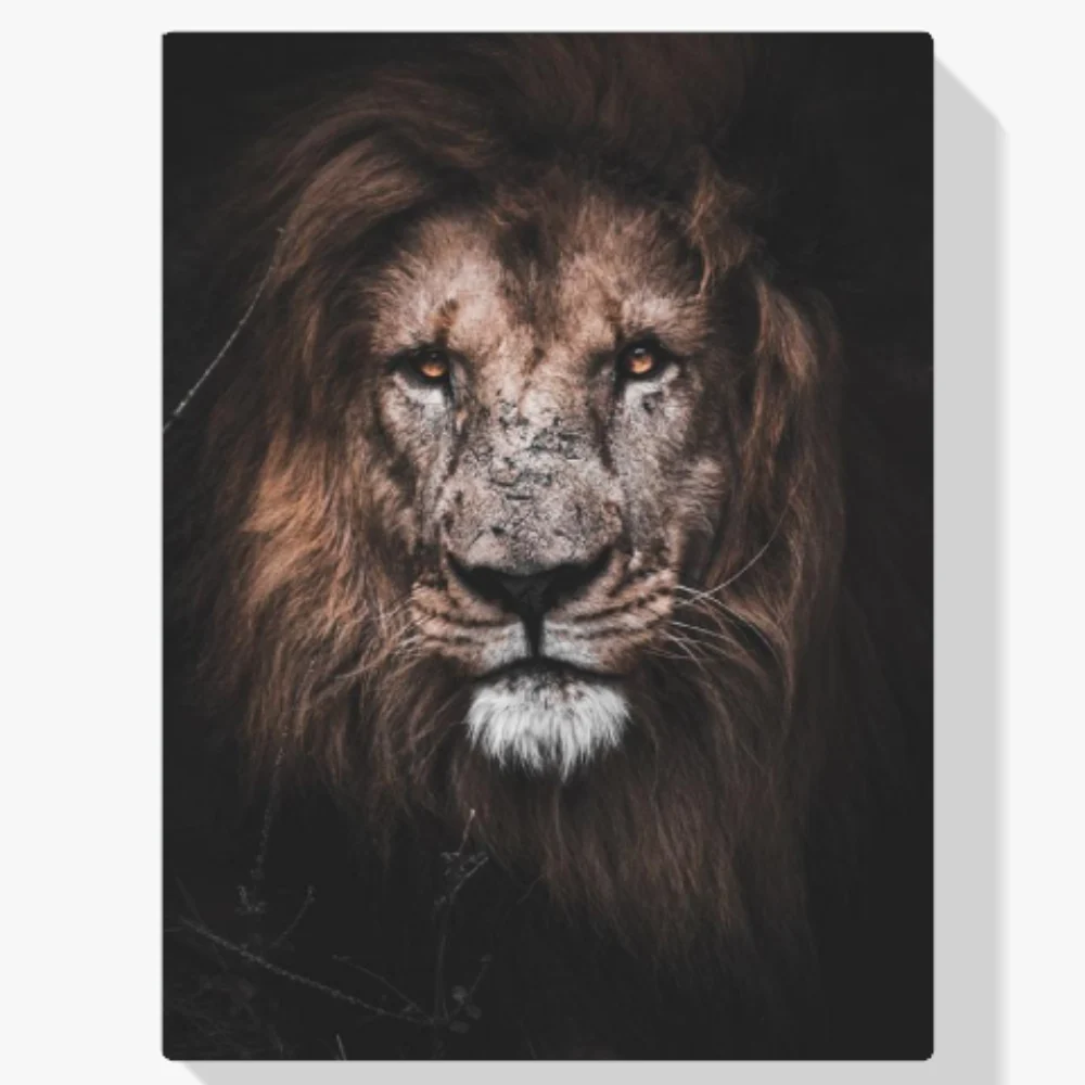 Pintura Diamante - Gran león