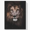 Pintura Diamante - Gran león
