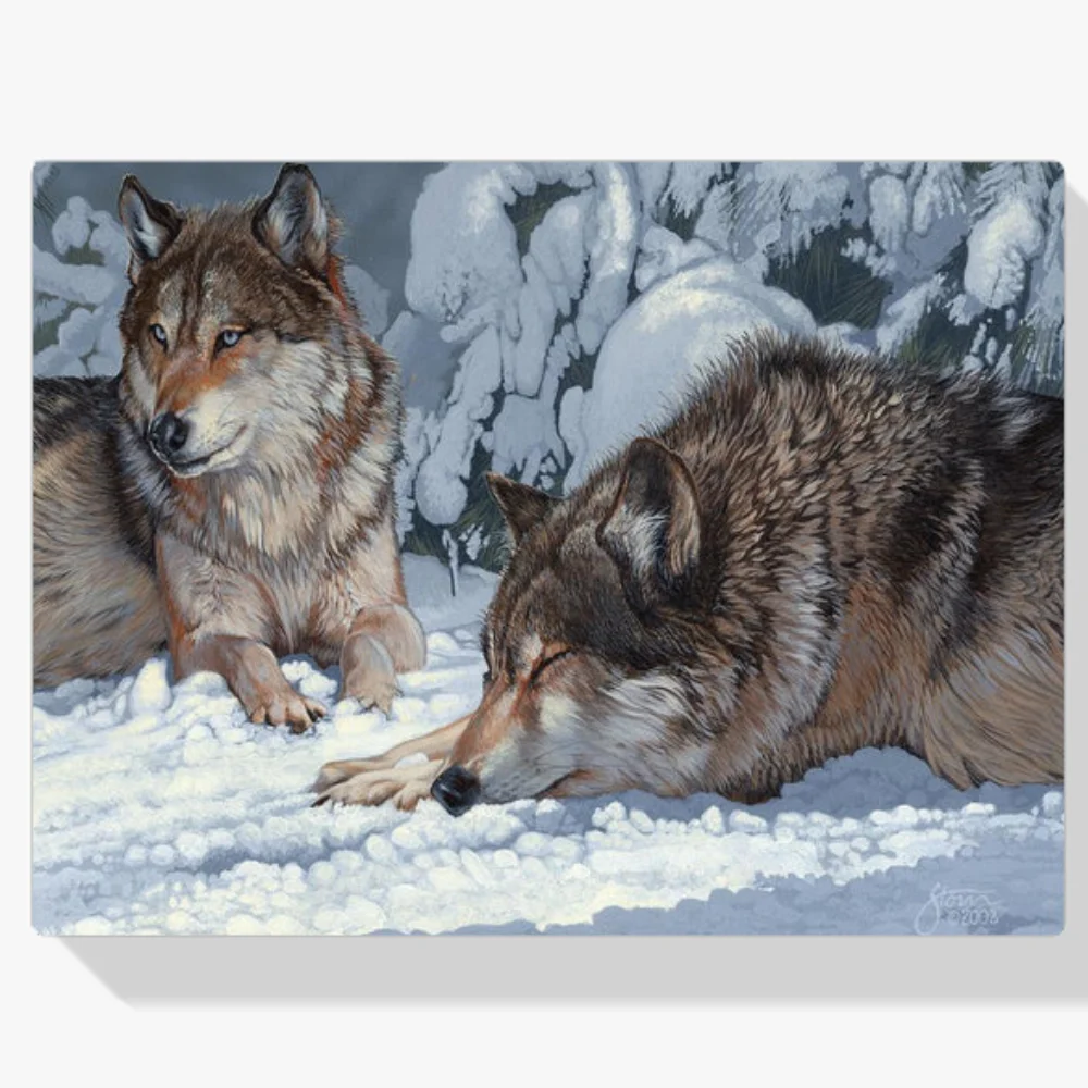 Pintura Diamante - Grises del Pacífico