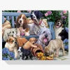 Pintura Diamante - Grupos de perros
