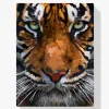 Pintura Diamante - Hermosa cabeza de tigre